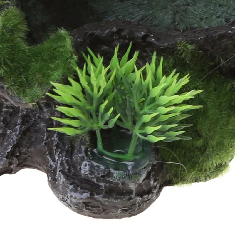 Terrarium Bowls Water Bowl Resin Water Bowl Water