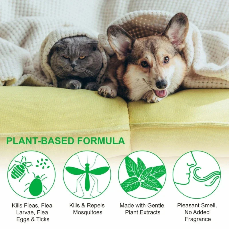 Fleas for Cats Powerful Prevention and Control for