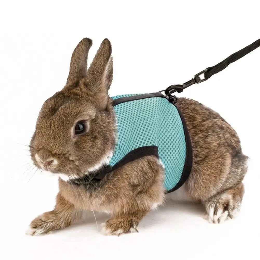 Pet Rabbit Safety Belt Set Adjustable Buckle Decorative
