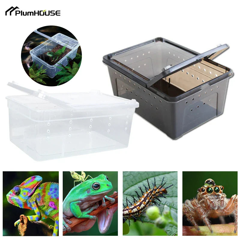 1pc Terrarium for Reptiles Spider Transparent Plastic Feeding