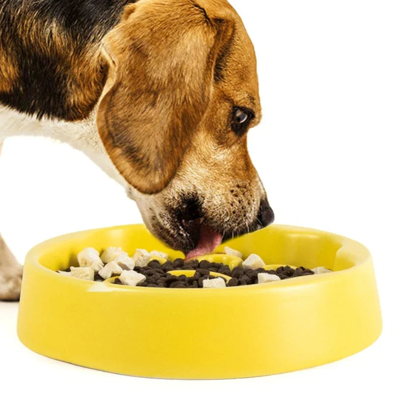 AntiChocking Pet Bowl Food Plate Puppy Ceramic MessFree