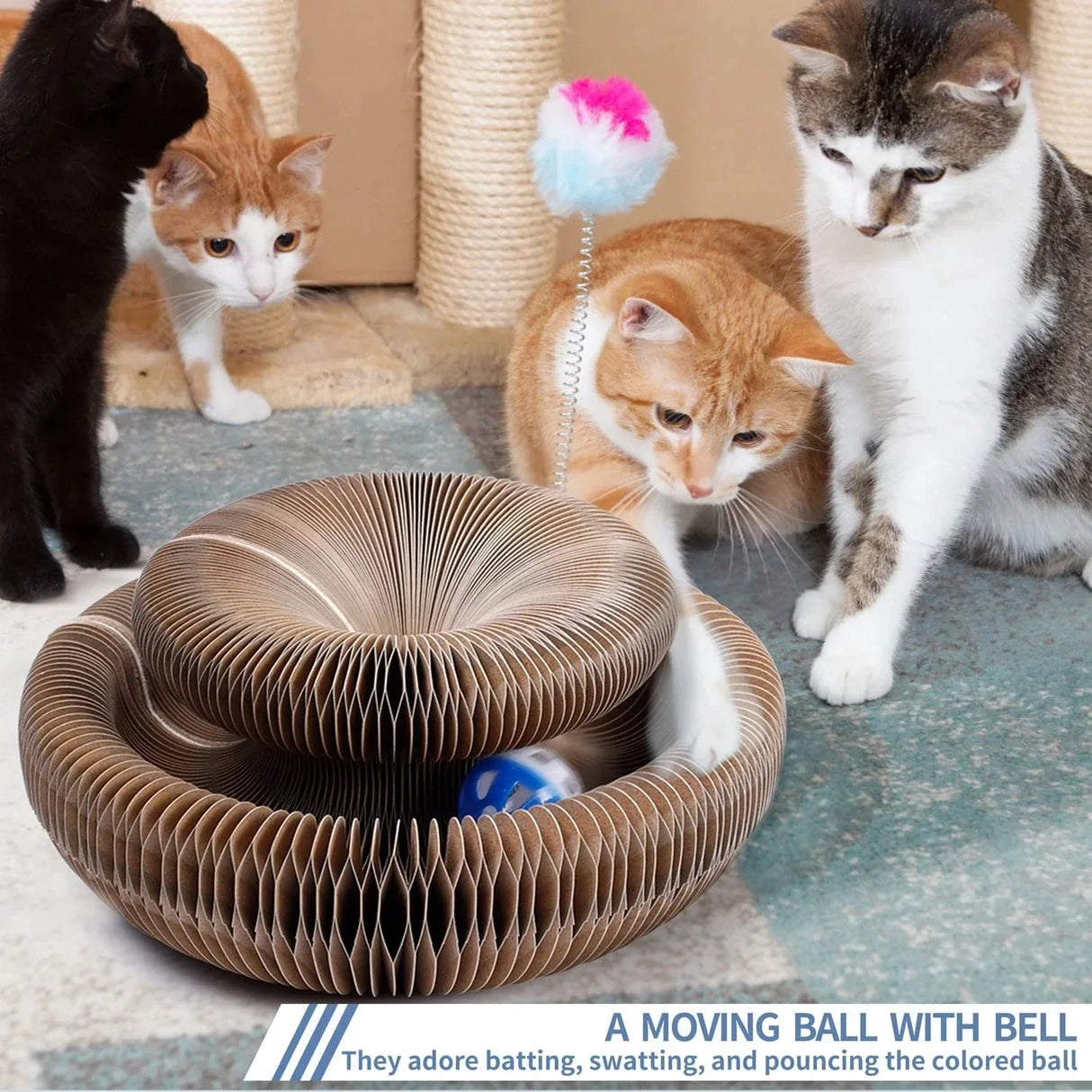 Cat Toy Magic Organ Cat Scratch Board With