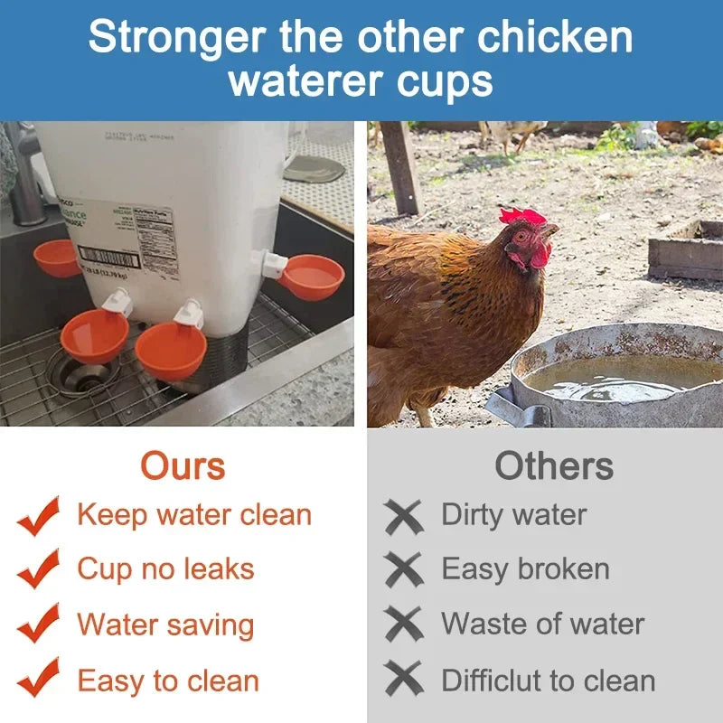 5/10PCS Automatic Chicken Water Feeder Drinking Cups Poultry