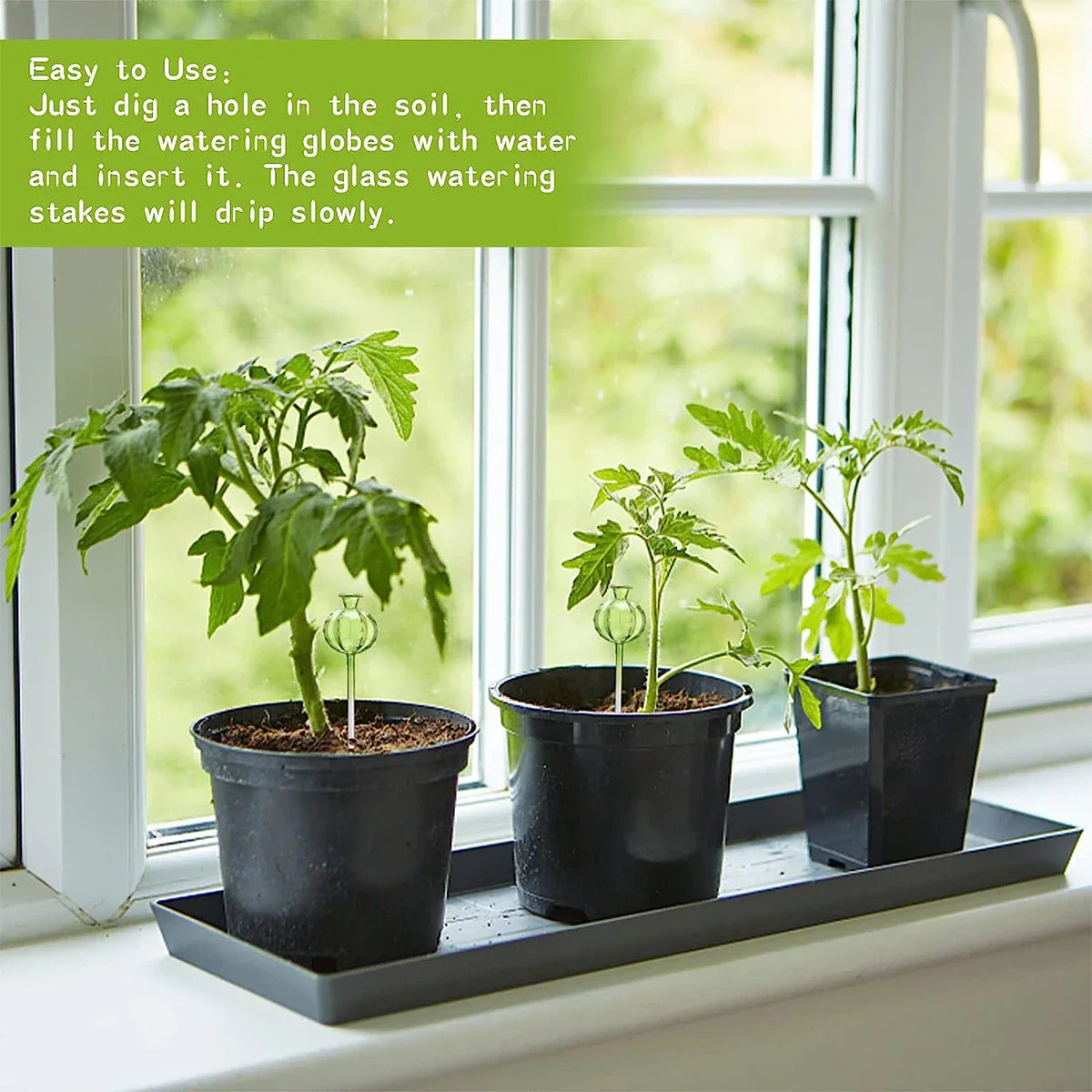 3/6Pcs Plant Self Watering Globes Automatic Plant Water