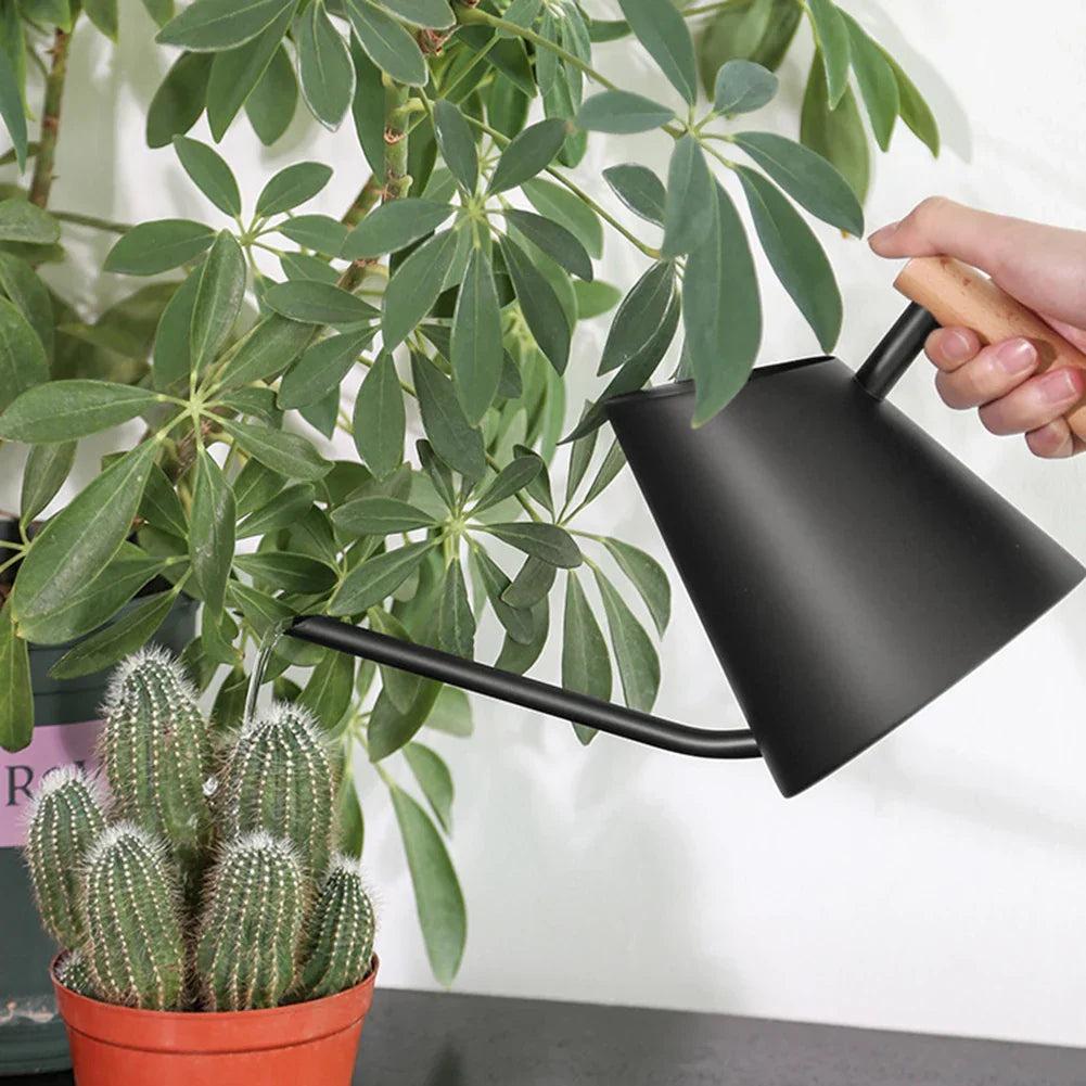 Stainless Steel Watering Pot With Long Spout Wood