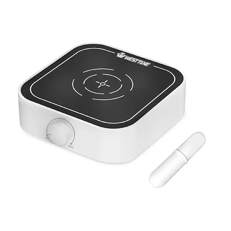 WEST TUNE 2000rpm/3000rpm Mini Magnetic Stirrer with Stir