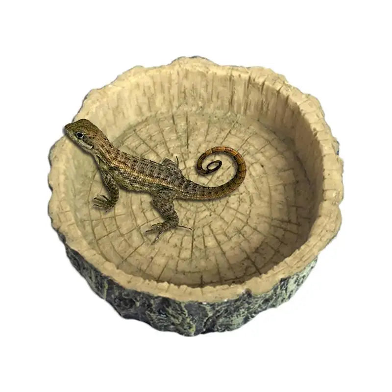 Reptile Water Dish Resin Lizard Water Bowl Amphibian