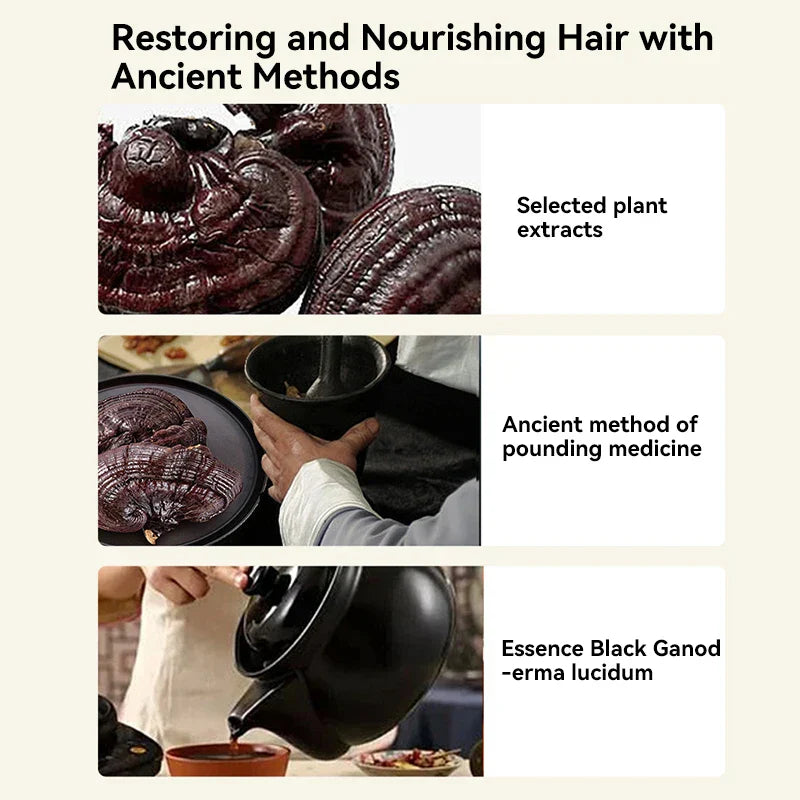 240ml Ginger Plant Extract Anti-Hair Loss Hair Shampoo