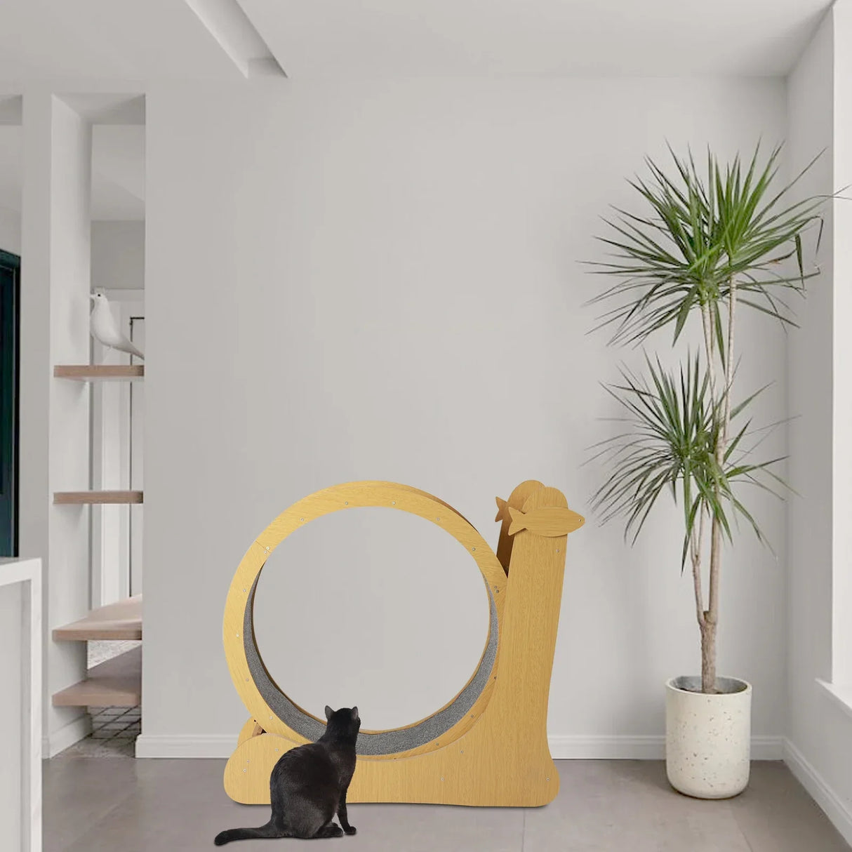 Fitness Exercise Wheel for Cats, Large Cat Treadmill