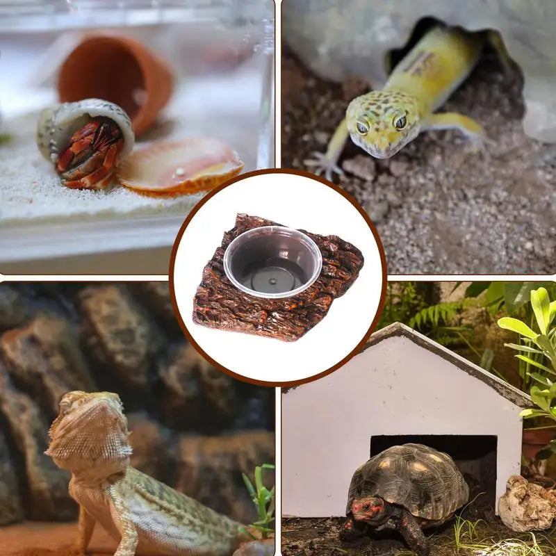 Snake Water Bowl Resin Reptile Food Dish Bearded