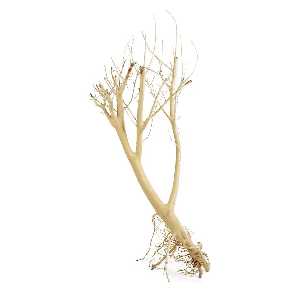 Aquarium Driftwood Natural Wooden Tree Branch Fish Tank