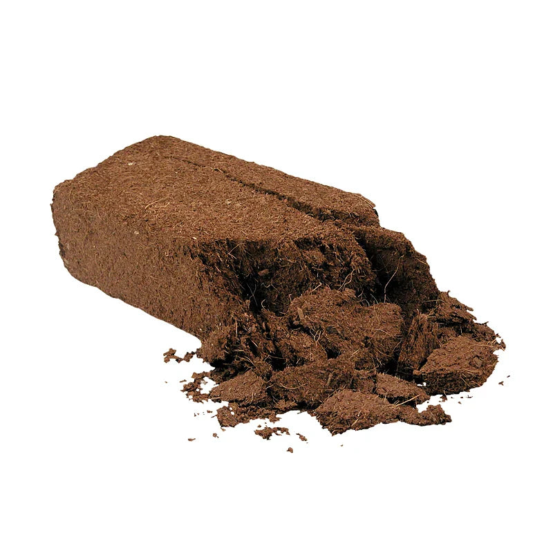 Tortoise Reptile Bedding Soil 650g Reptile Coconut Soil