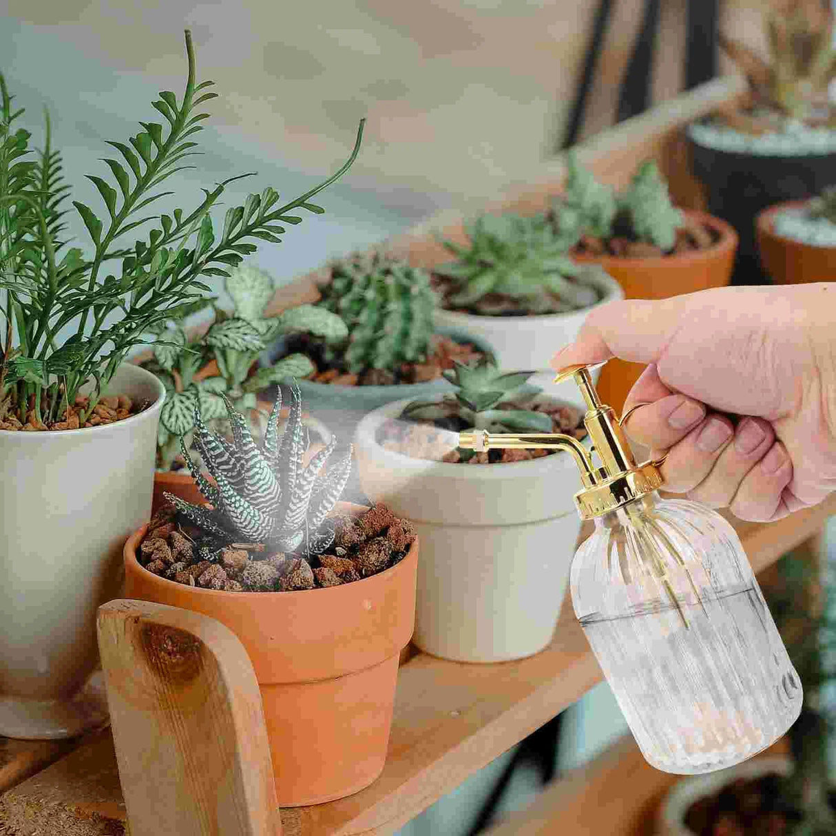 Watering Bottle Can Spray Glass Water Plant Flower