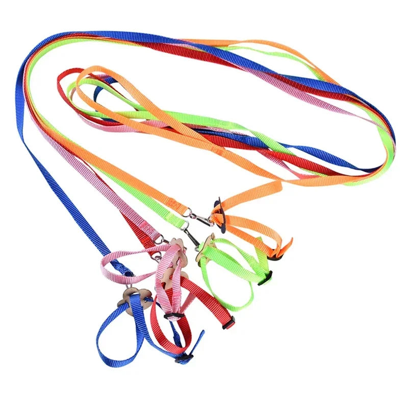 Adjustable Pet Parrot Traction Strap Anti-bite Training Rope