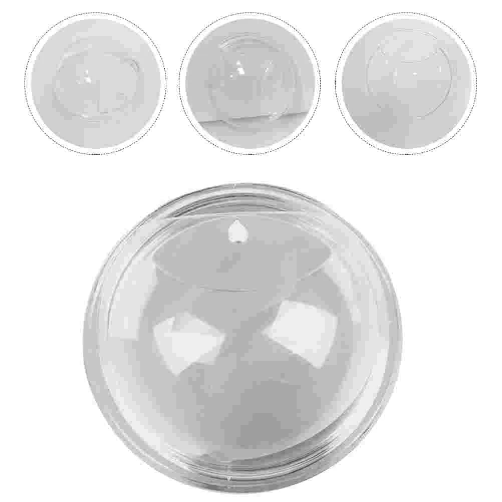 Wall Hanging Plant Terrarium Acrylic Clear Wall Fish