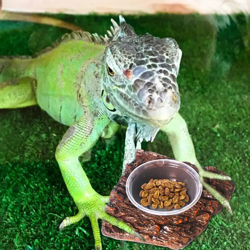 Snake Water Bowl Resin Reptile Food Dish Bearded
