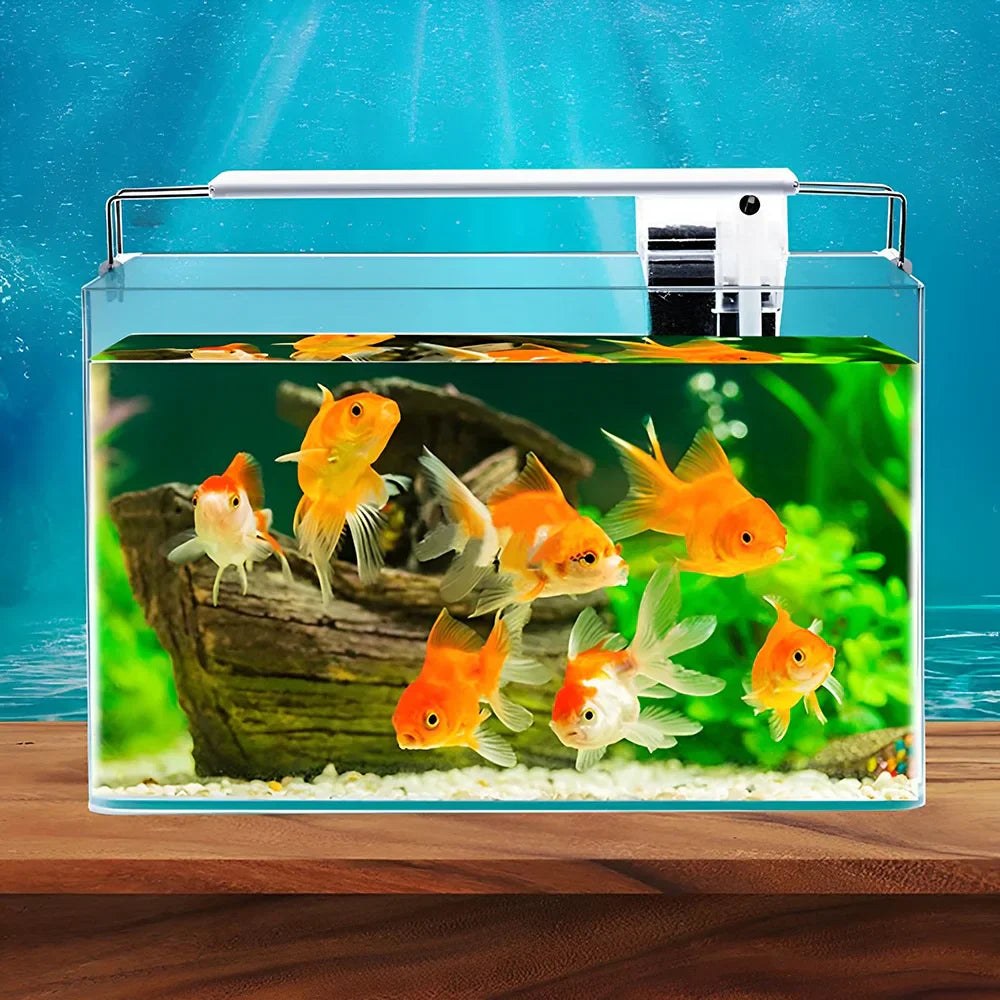 Fish Tank Transparent Glass Rectangular Aquarium Small And