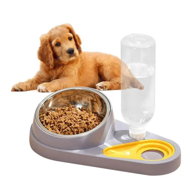 Tilted Cat Food Bowl Set Automatic Pet Water