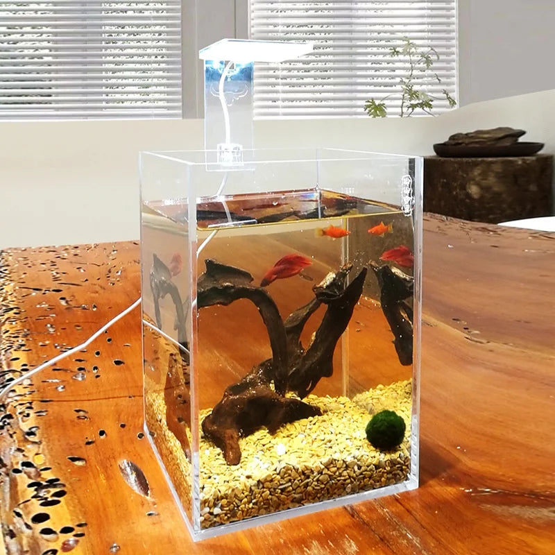 Acrylic Ultra White Fish & Aquatic Pets Tank