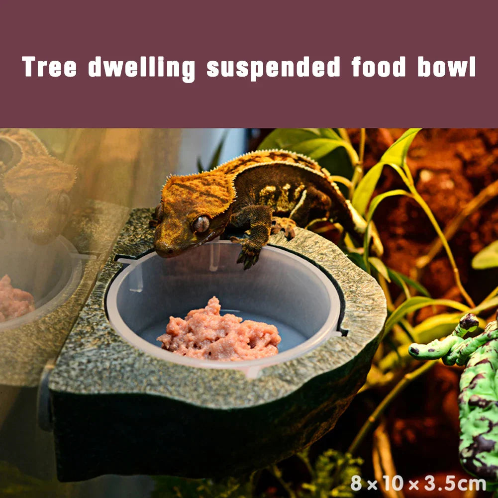 New Reptile Gecko Food Water Bowl Magnetic Adsorption