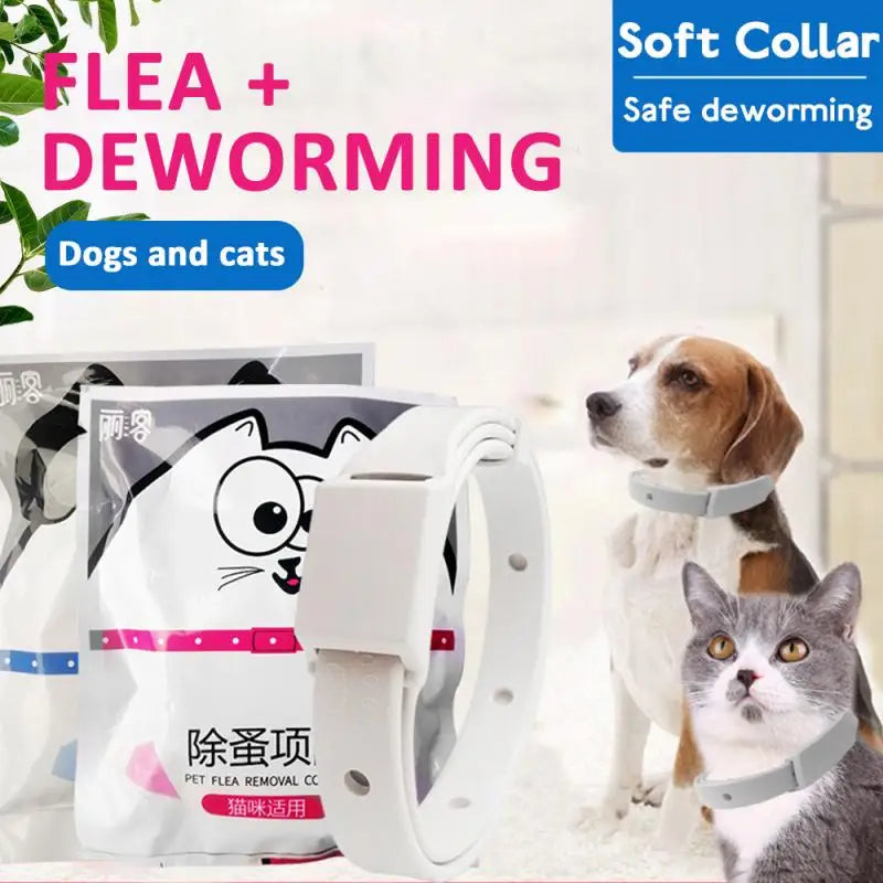 3pc Adjustable Cat & Dog Collar Flea &