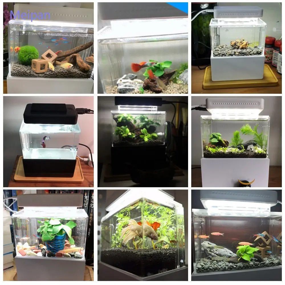 Portable Mini Betta Fish Tank Aquarium Desktop Decorations