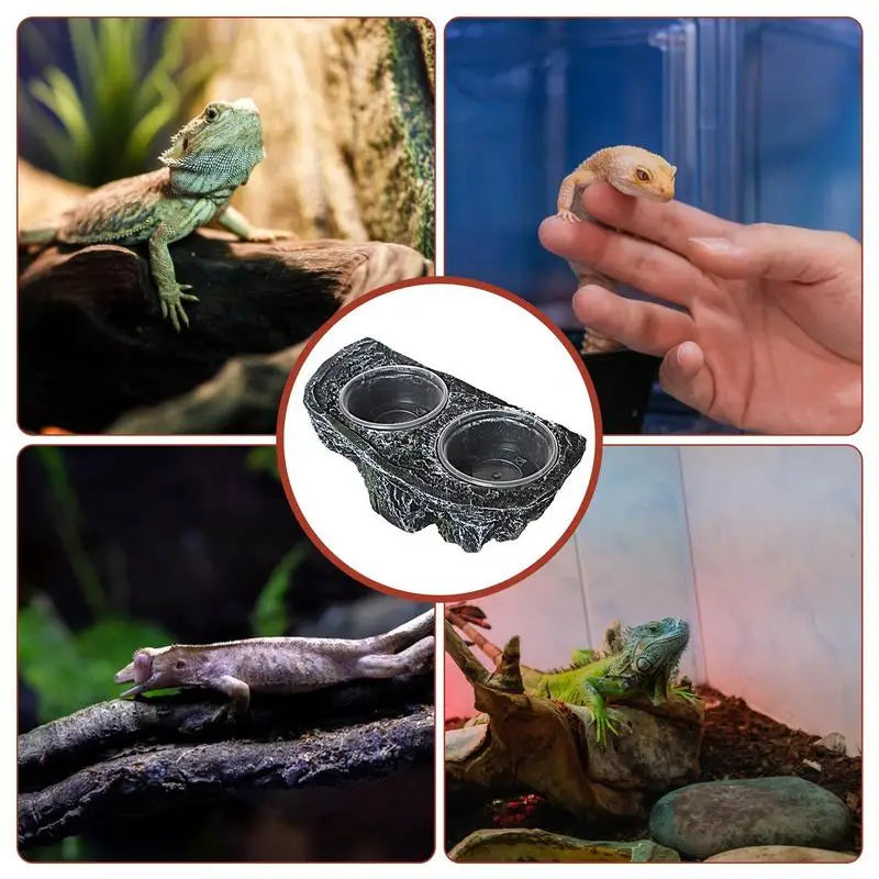 Reptile Food And Water Feeder Reptile Food Dish