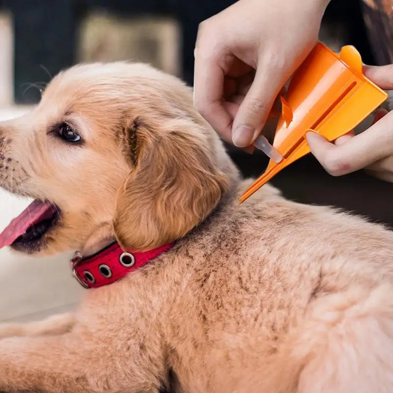 Flea Drops For Cats Triangle Assistance Tool Help