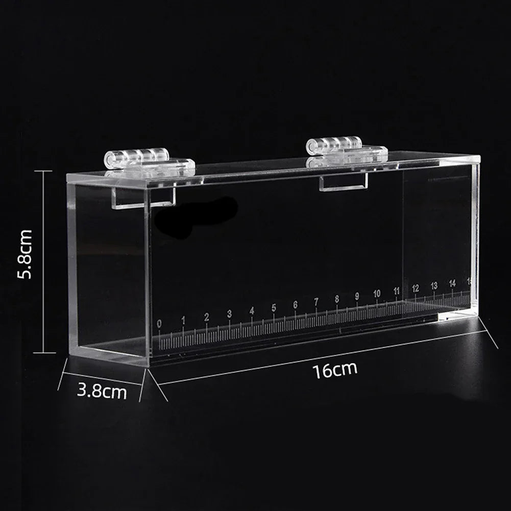 Fish Viewing Box Acrylic Material Isolation Box Betta