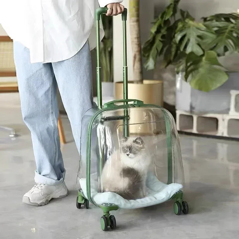 Clear pet backpack, cat carrier bag, portable capsule,