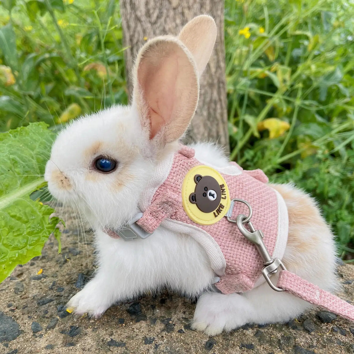 Cute Rabbit Harness Leash Set Bunny Soft Padded