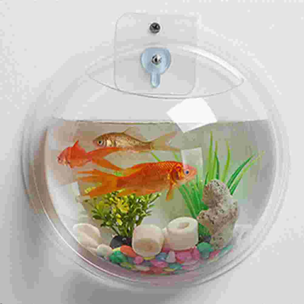 Wall Hanging Plant Terrarium Acrylic Clear Wall Fish