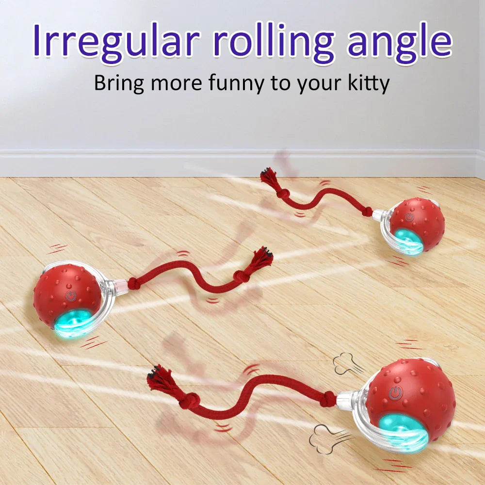 New Cat Rolling Ball Bird Chirping Interactive Cats