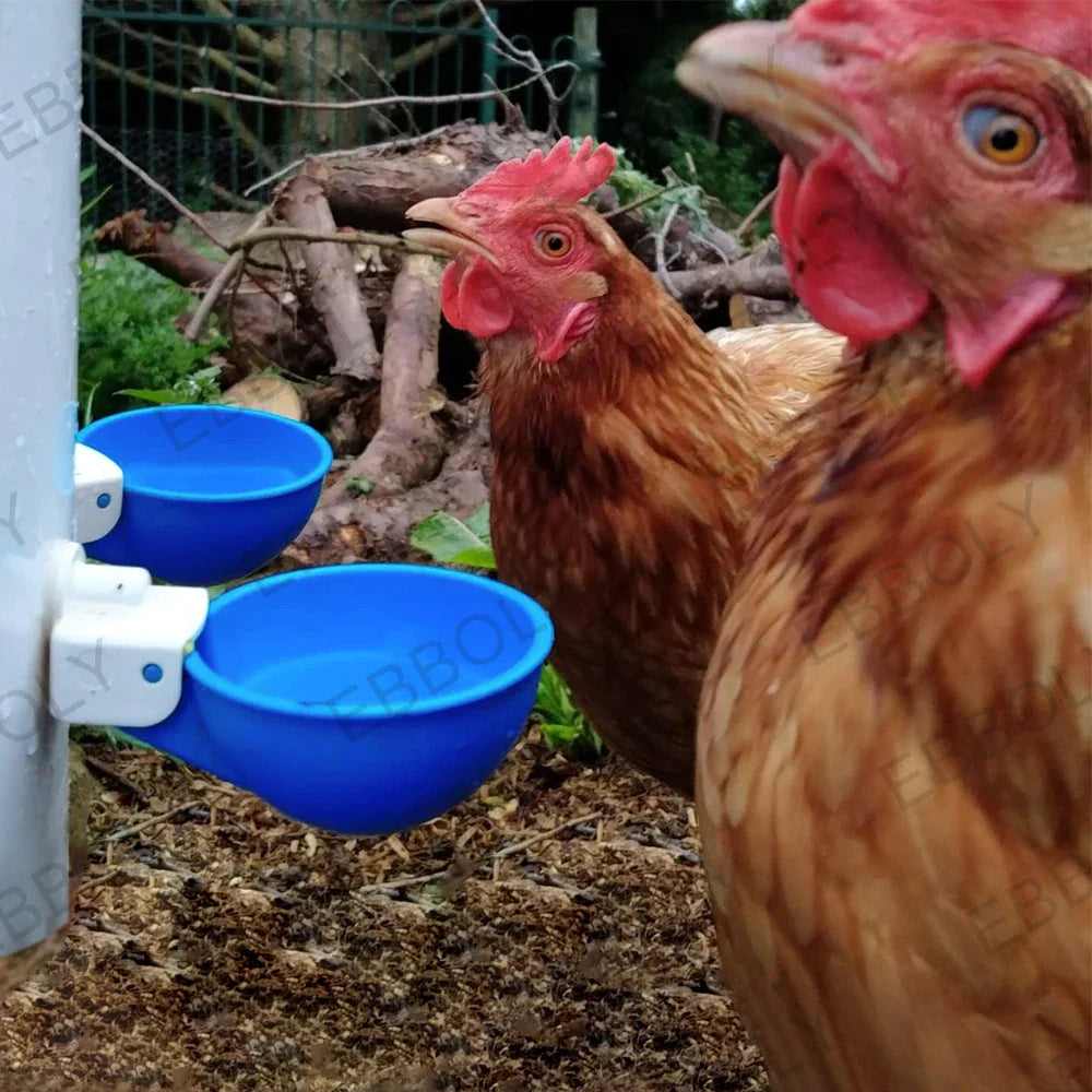 12/20/30PCS Automatic Chicken Water Feeder Drinking Cups Poultry