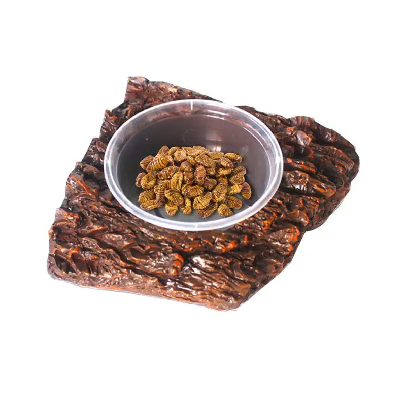 Snake Water Bowl Resin Reptile Food Dish Bearded