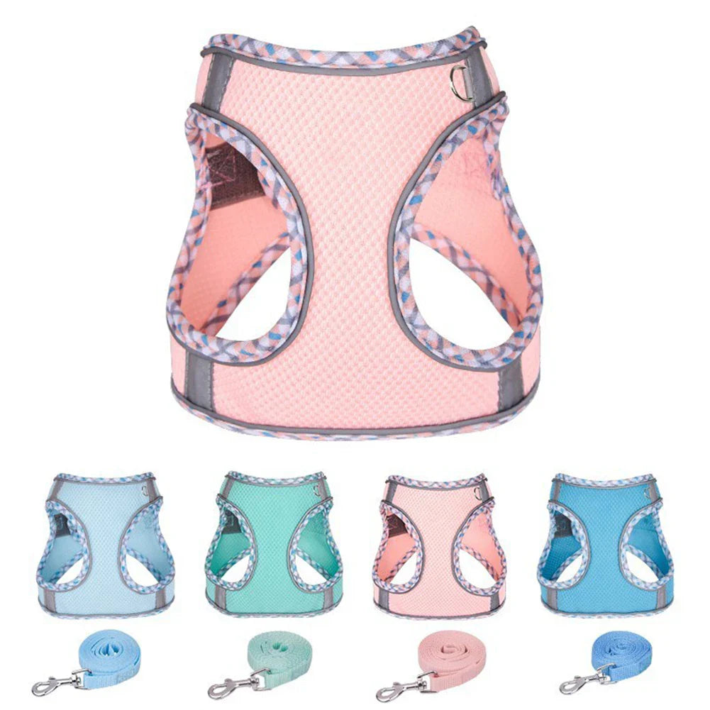 Universal Dog Halter Harness Lightweight Soft Padded Pet