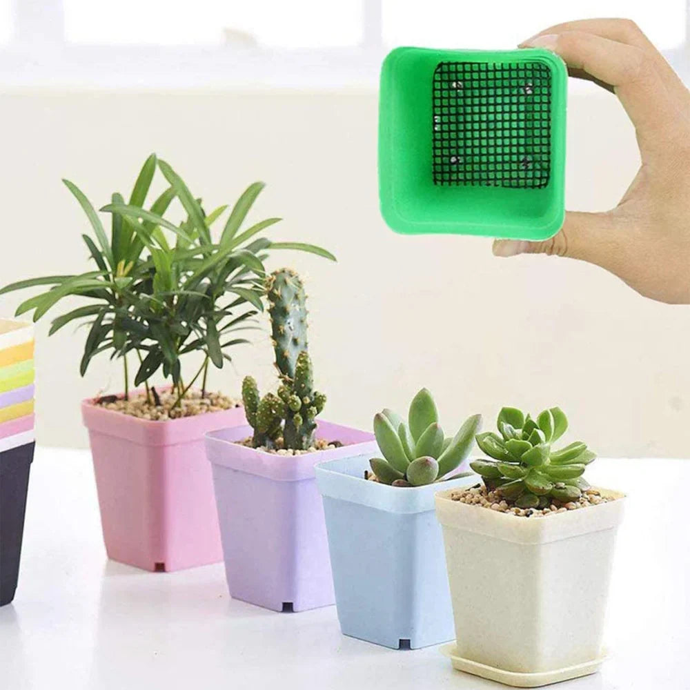 Square Effectively Preventing A Large Amount Of Soil