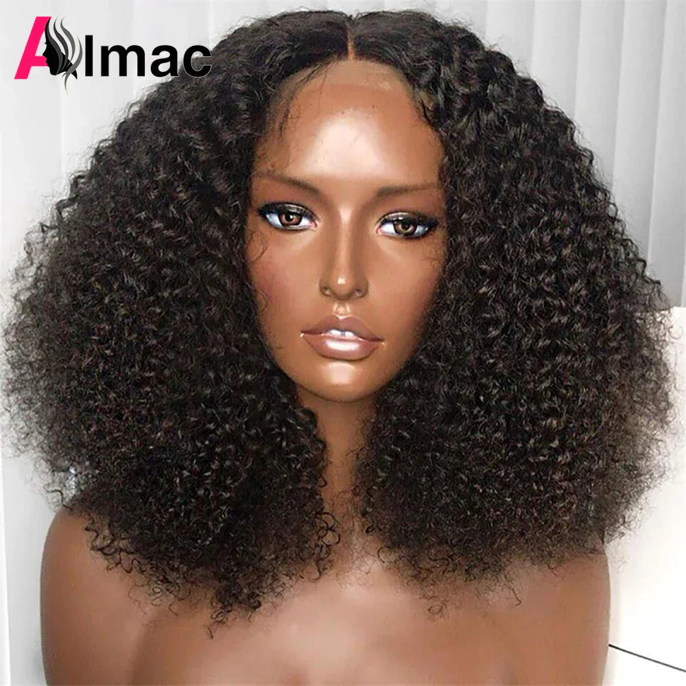 250% Density Afro Kinky Curly Human Hair Wigs