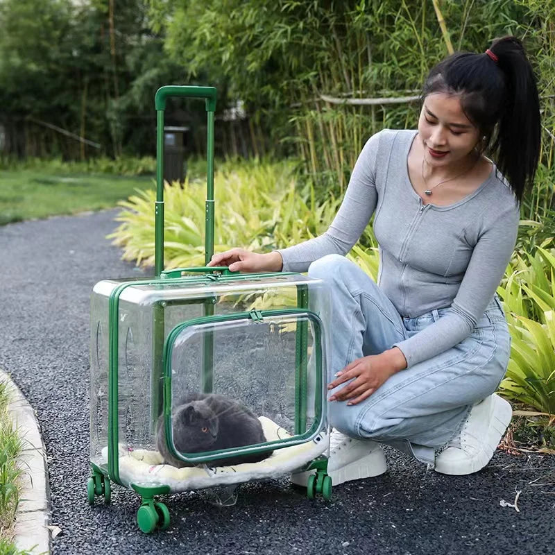 Stroller Kitten Cat Carriers Crate Backpack Transporter Cat