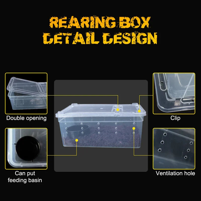 19cmx12.5cmx7.5cm Terrarium For Reptiles Spider Transparent Plastic Feeding