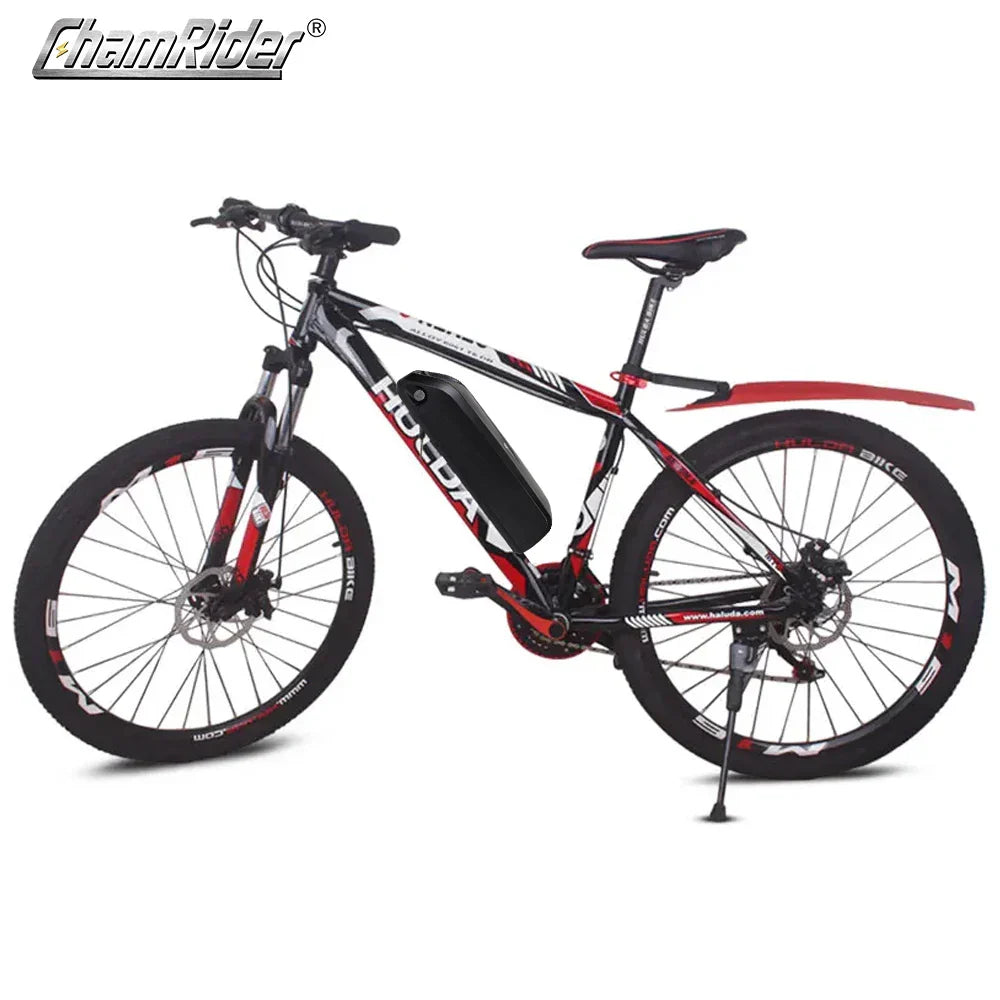 ChamRider Hailong 1 Electric Bike Battery Box Down