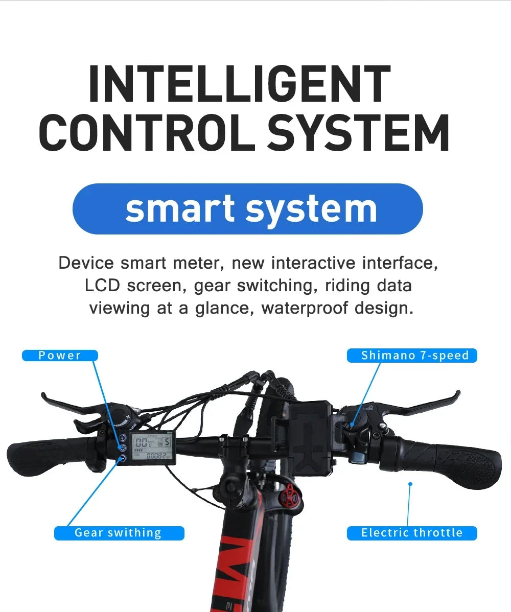 LAFLY R3 1000W National Standard Electric Bicycle Folding