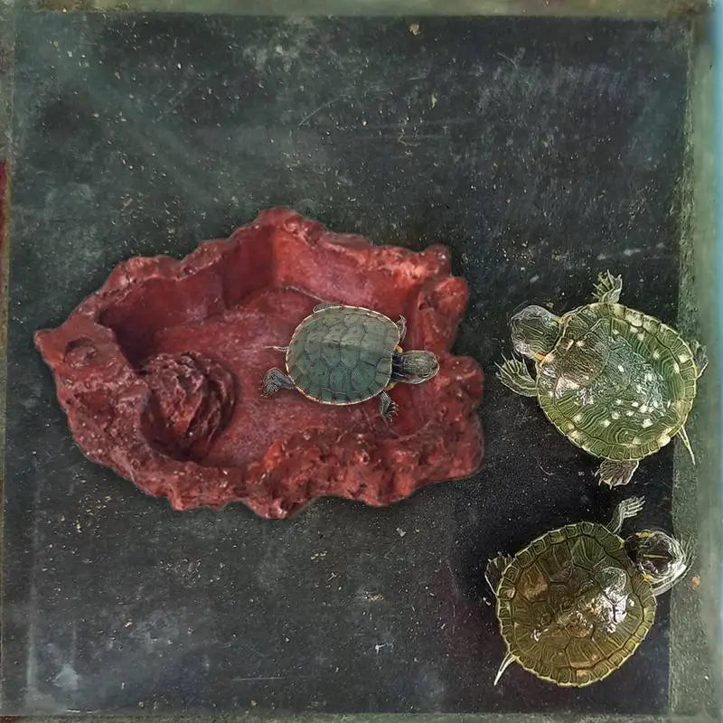 Reptile Water Dish Resin Lizard Water Bowl Amphibian