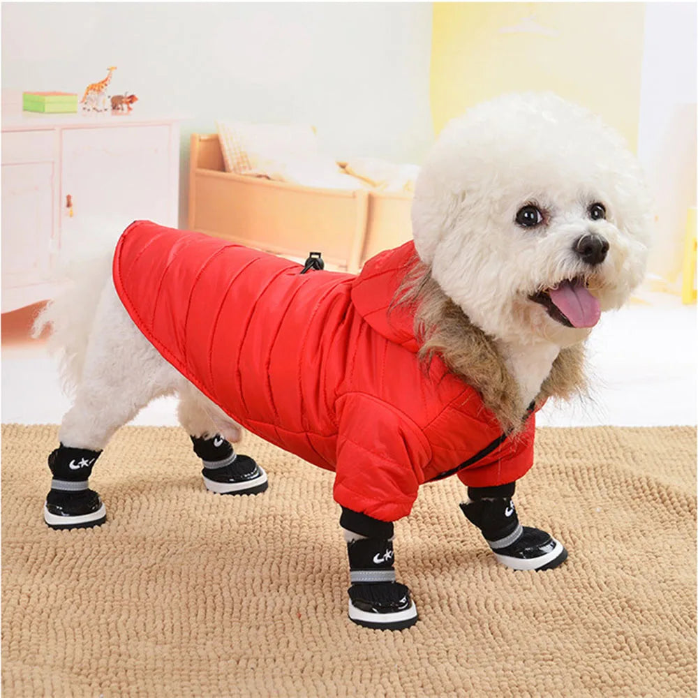Dog Winter Coat Windproof Small Dog Hoodie Jacket