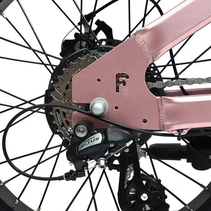Super Power Electric Motorcycles 48V Electric Bike Motorbike