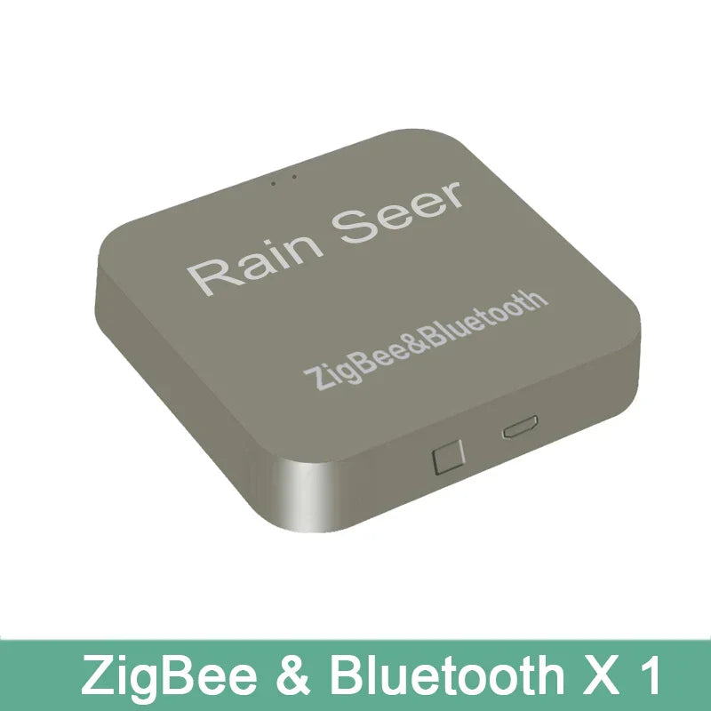 Rain Seer Tuya Zigbee Garden Home Irrigation Watering