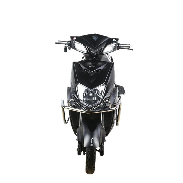Hot Selling 1000w 60V Leader Two Wheels Adult