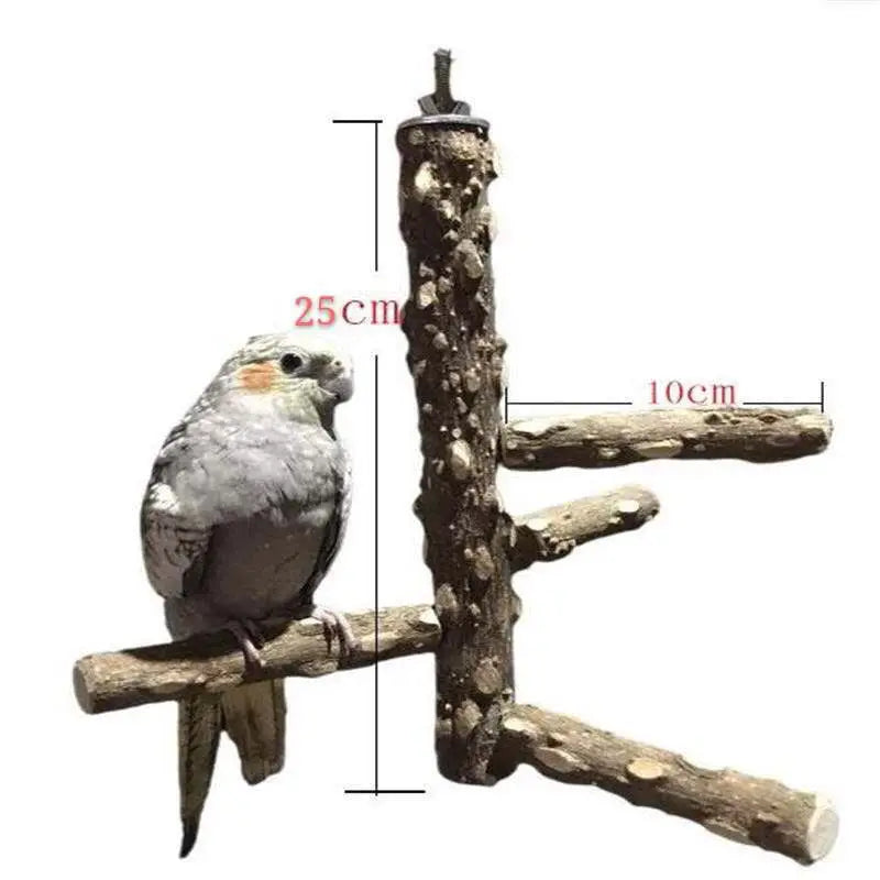 Pet Parrot Bird Standing Stick Wood Pole Bird