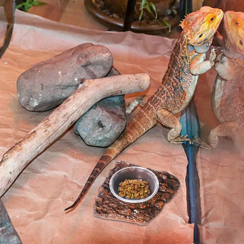 Reptile Water Bowl Resin Reptile Food Dish Bearded