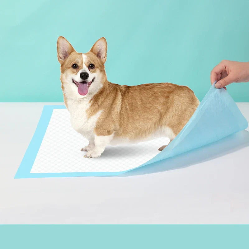 Dogs Disposable Water Absorbent Diaper Thickened Pet Urine